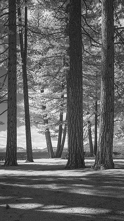 Lake Tahoe in Infrared - April 2017 _DSF2805