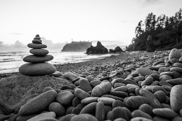 _DSF6099_export