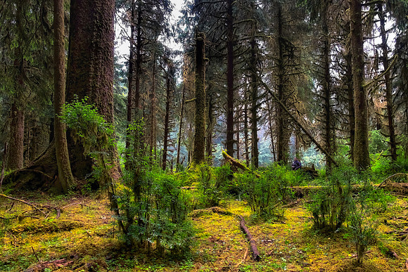 _DSF6332-Edit_export