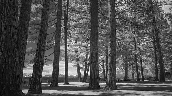 Lake Tahoe in Infrared - April 2017 _DSF2807