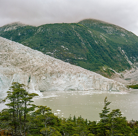 Pia Glacier - Rolleiflex MX-EVS on MV Australis