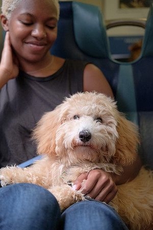 Bash and Jordaan on the LIRR-5966