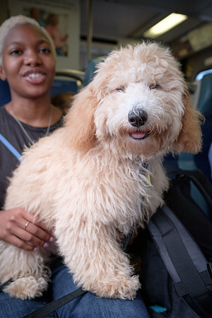 Bash and Jordaan on the LIRR-5948