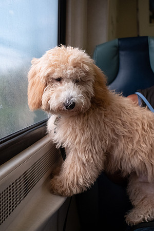 Bash and Jordaan on the LIRR-5946