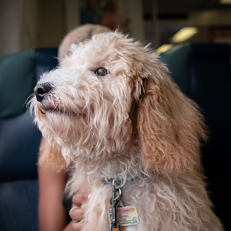 Bash and Jordaan on the LIRR-5933