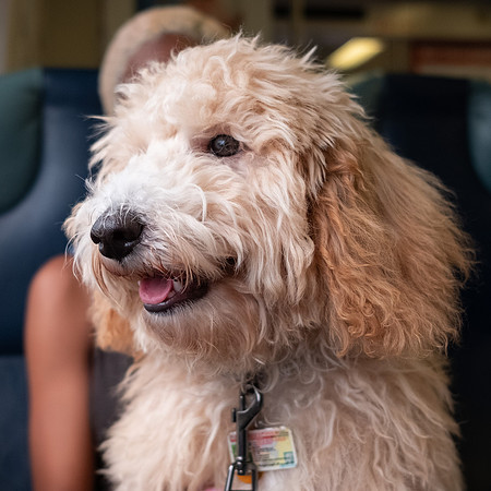Bash and Jordaan on the LIRR-5932