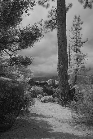 Lake Tahoe in Infrared - April 2017 _DSF3001