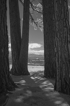 Lake Tahoe in Infrared - April 2017 _DSF2774