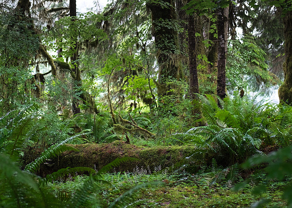_DSF6362_export