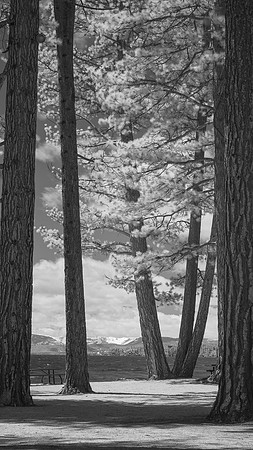 Lake Tahoe in Infrared - April 2017 _DSF2802