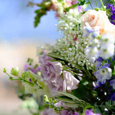 Brent and Robin's Wedding - Ceremony selections-7971
