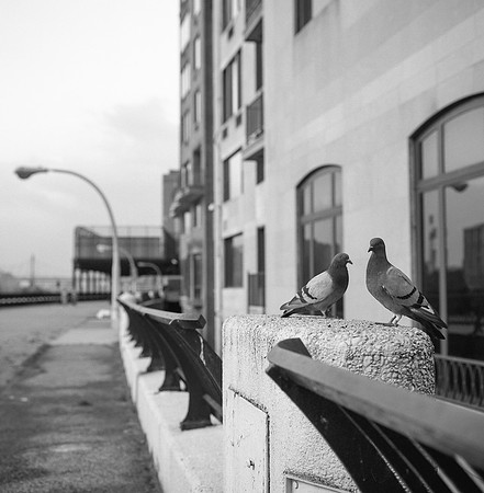 img449_export