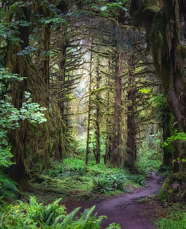 _DSF6288-Edit-2-Edit_export